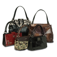 Women bag items